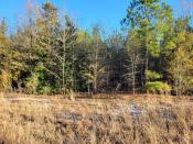 new spring hill