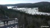 Algonquin Webcam