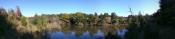 Pond Pano