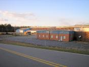 Old Ponoma Pipe Plant