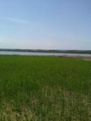 View from the cache area