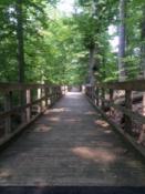 Bridge on Pohick Loop Trail