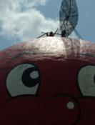 Bon Echo visited the Big Apple