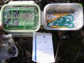 Applewood cache container