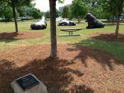 Our Park