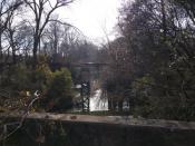 Green Hand Rail Bridge