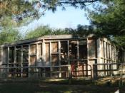 Main Structure