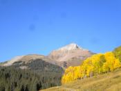 Fall Colors at the Cone