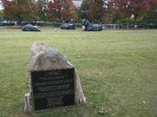 Tri bull plaque