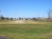 The Park