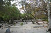 Cemetery at Chapel by the Sea