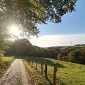 Hiking trail in the 