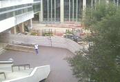 MSC