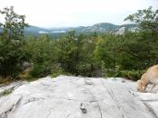 Overcast view from The Crack