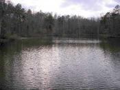 Good fishing Lakes