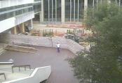 MSC