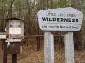 Little Lake Creek Wilderness