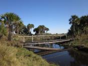 Old Pole Bridge