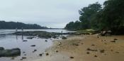 Rocky Island at low tide 