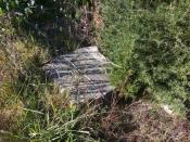 Block Wall, Down