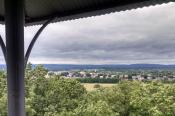 Rat View