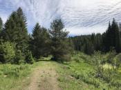 On the way to Two Roads