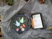 Original Cache Contents