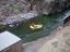 rafting