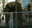 Behind the fence