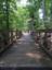 Bridge on Pohick Loop Trail