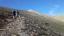 Above the Treeline