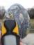 Bigger than a goose egg