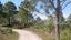 Viera Nature Trail