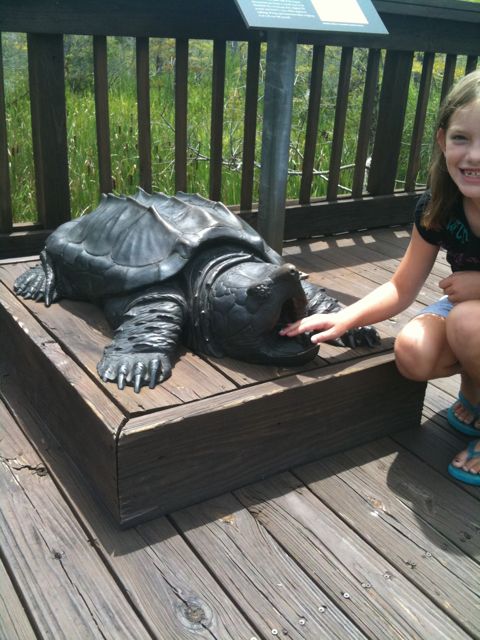 Texas sized Turtle